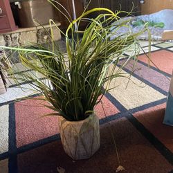 Artificial 24”x7” Reed Plant In Cement Glazed Heavy Pot 