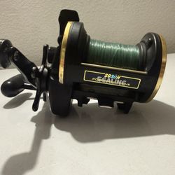 Daiwa Sealine 30