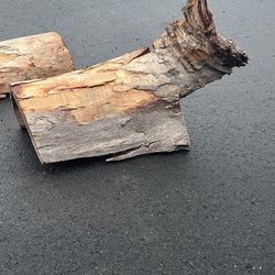 Thrive Wood Hide Reptile Decor