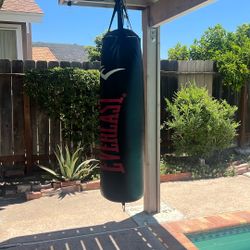 100lb Punch Bag