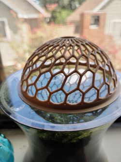 Aquarium dome moss cup plant decor shrimp habitat