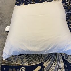 Large Decorative Pillow