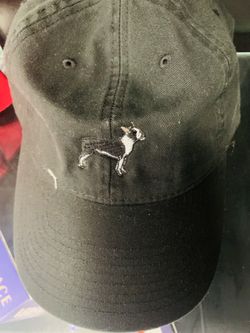 Dog hats