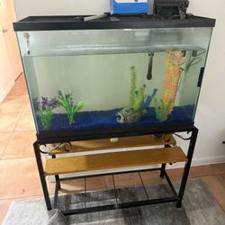 Aquarium 