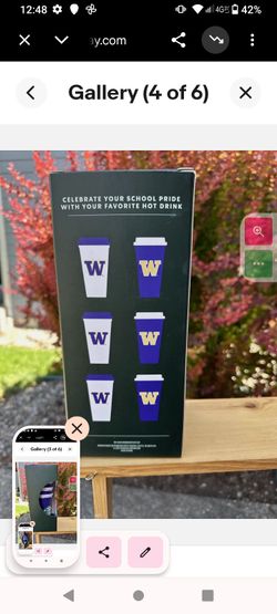 Washington Huskies Starbucks cups