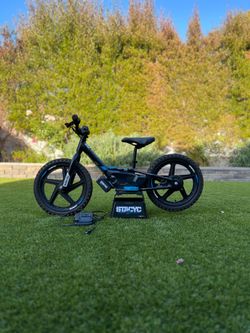 Stacyc 16 brushless