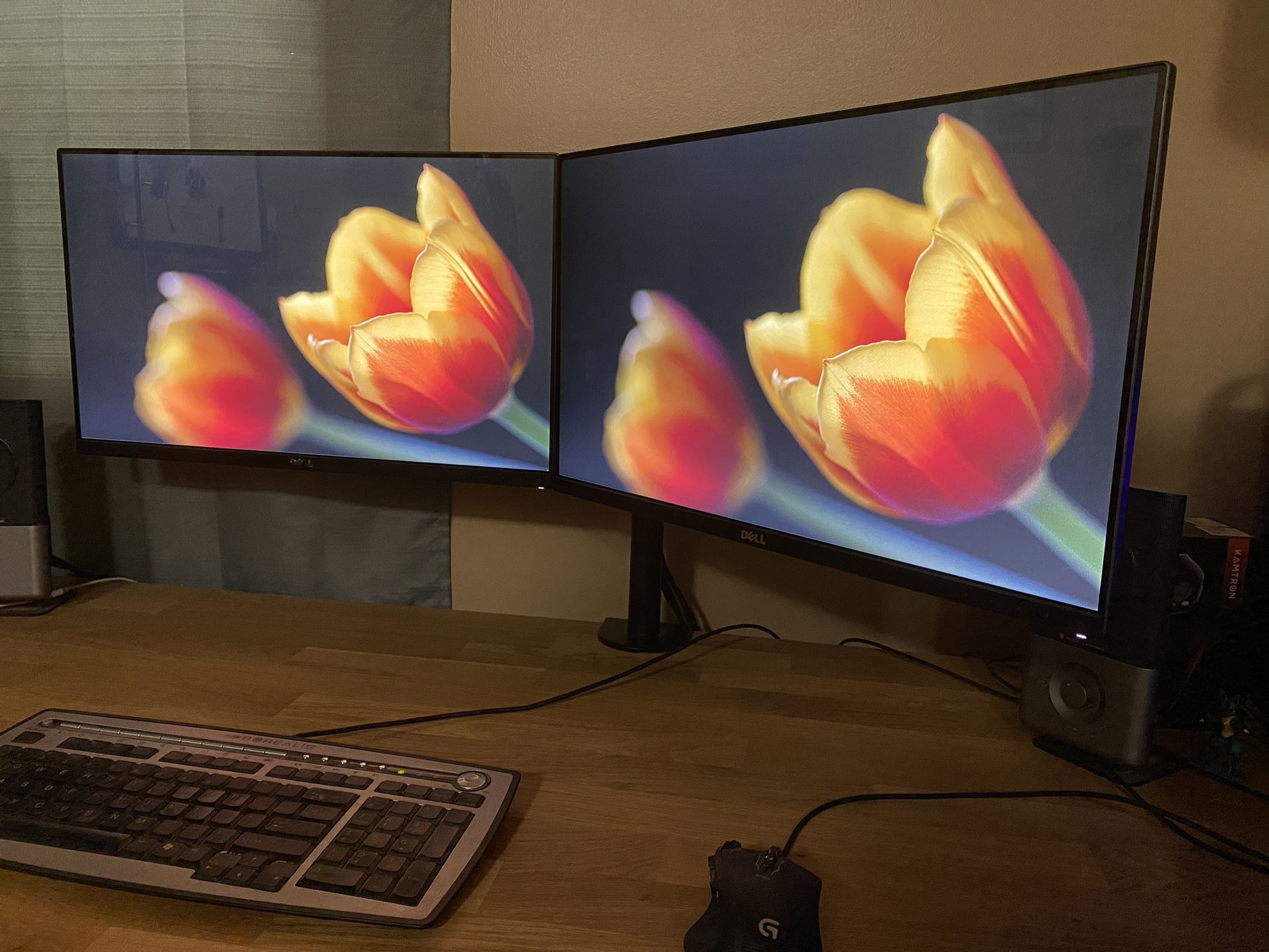 Two Dell S2415H 24-Inch Screen LED-Lit Monitors With VESA Desk Mount