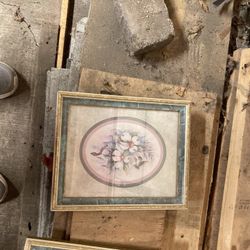 Framed Pictures 