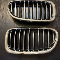 OEM F10 Chrome Grills