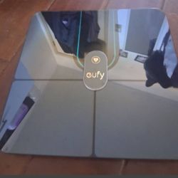 Anker uefy smart scale