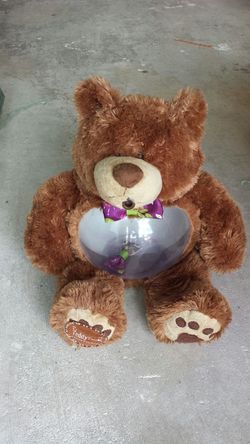 Teddy Bear Aquiruim for Betas