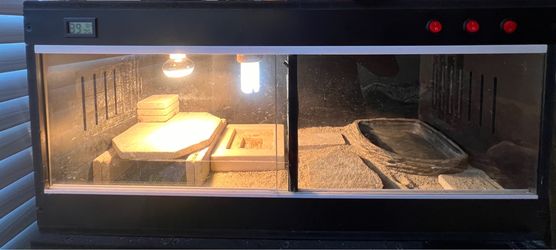 Wood reptile tank