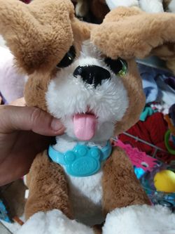 Cute active puppy, toy