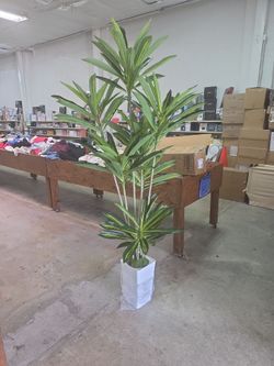 Dracaena plant artificial tree- 7 feet