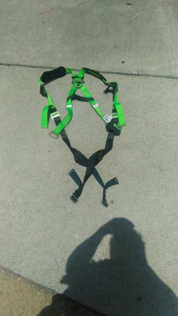 Body harness