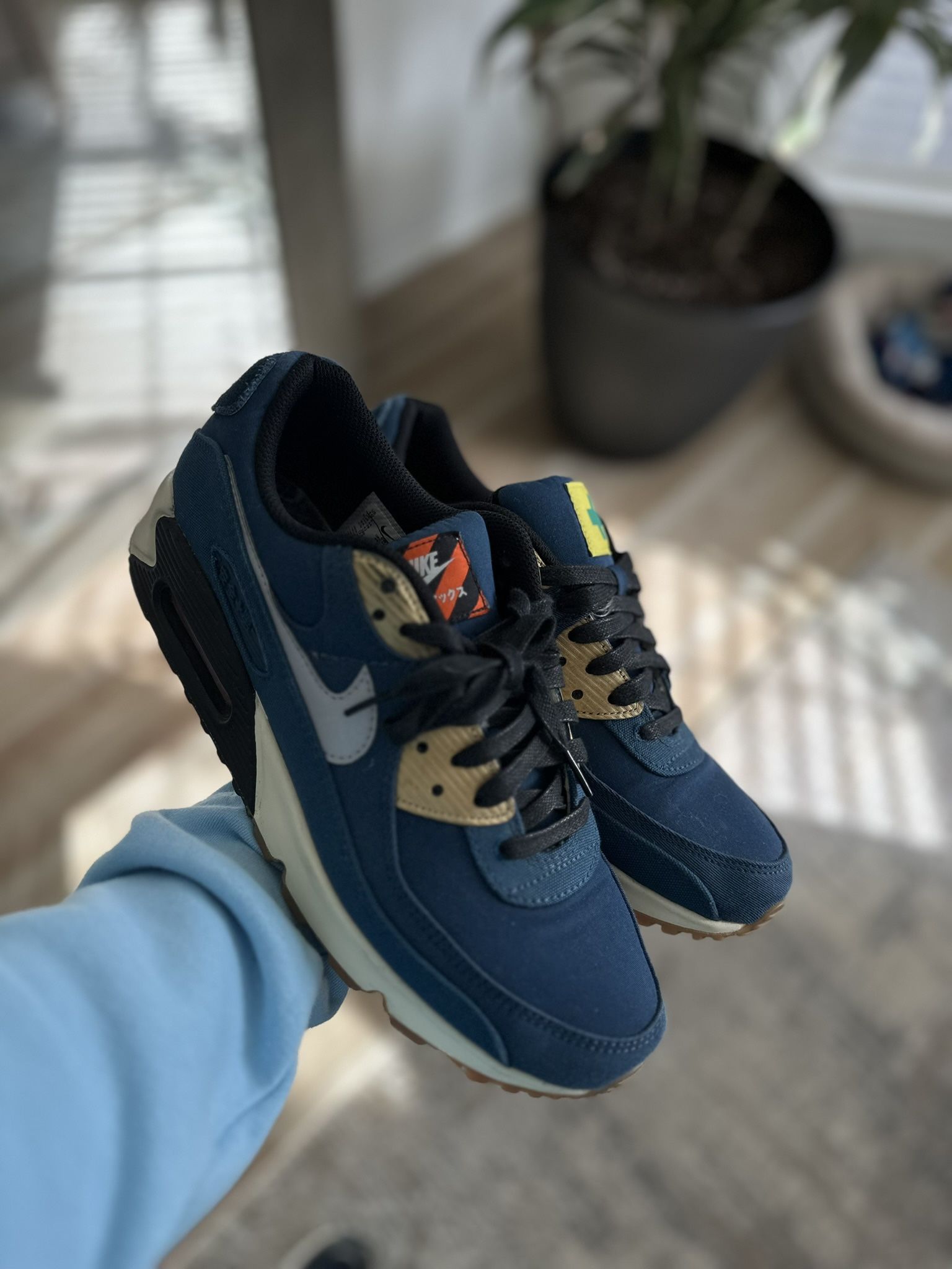 Nike Air Max 90 City Pack Tokyo Size 10