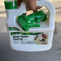 Home Insect Control