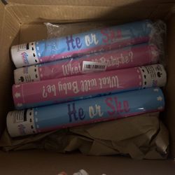 Gender Reveal 