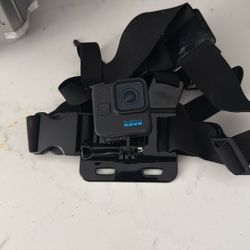 GoPro HERO11 Black Mini 