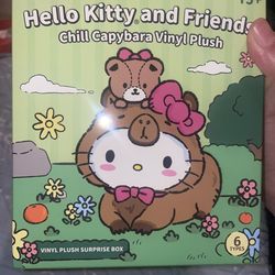 Hello kitty and friends capybara surprise box