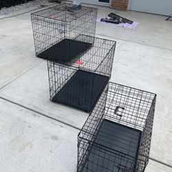 Dog cages 