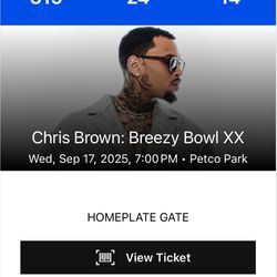 Chris Brown Concert Petco Park