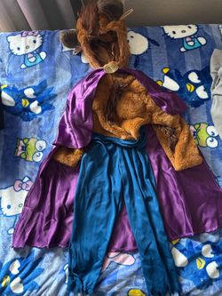 Beauty and the Beast Costume