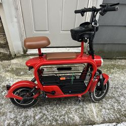 Adult E-bike