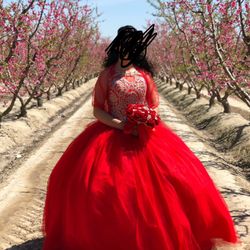 Red /with Gold Quince Dress 