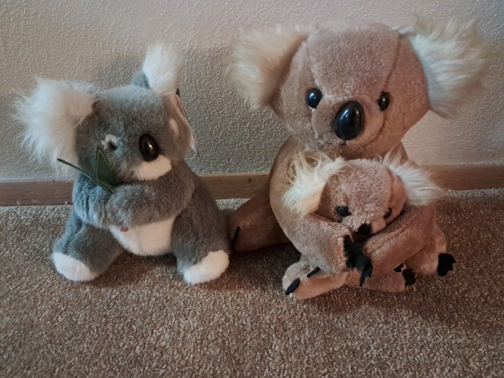 Koala Bears Stuffed Animals 