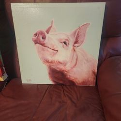 Pink Pig Picture