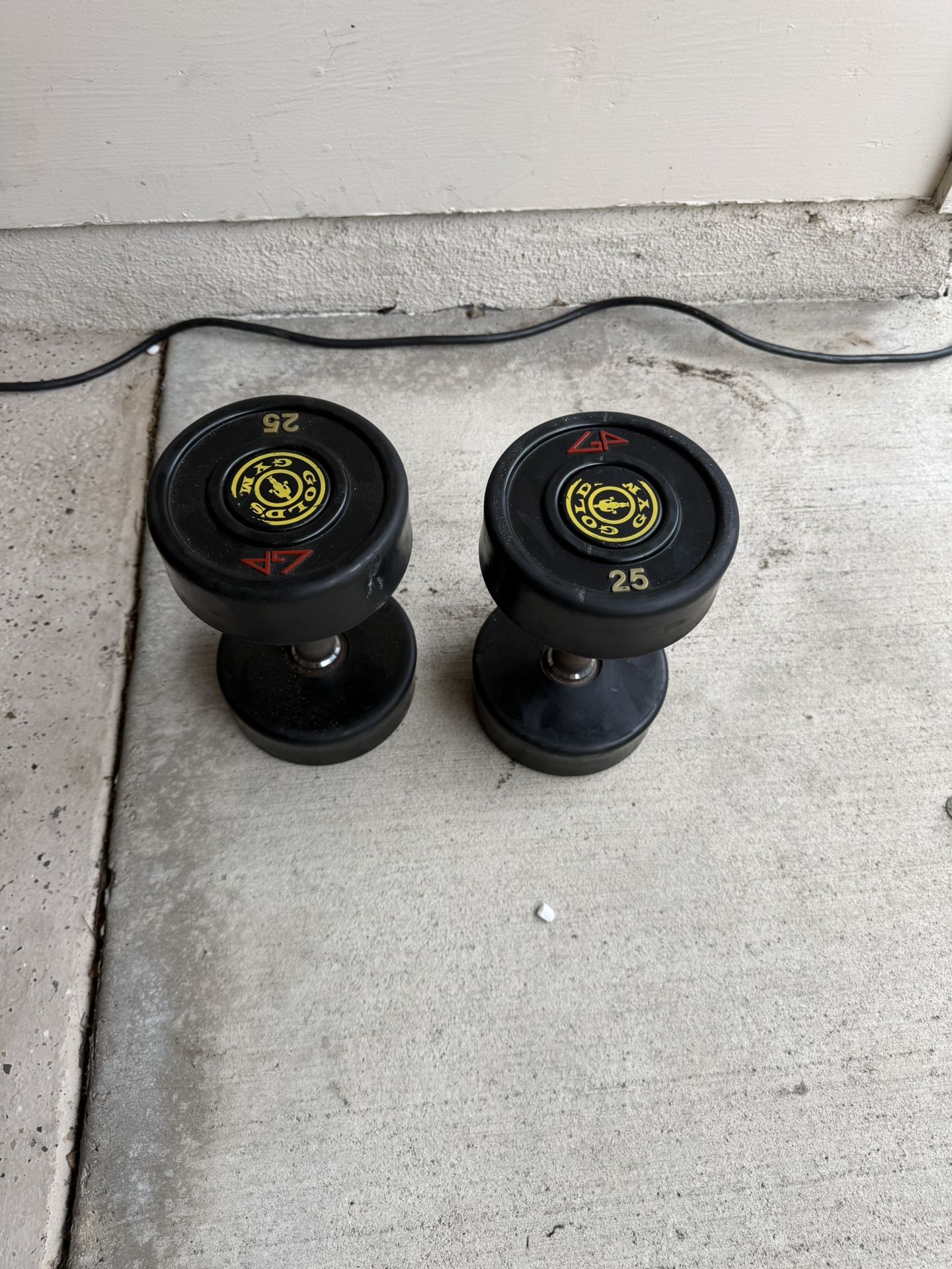 25lb Dumbbells