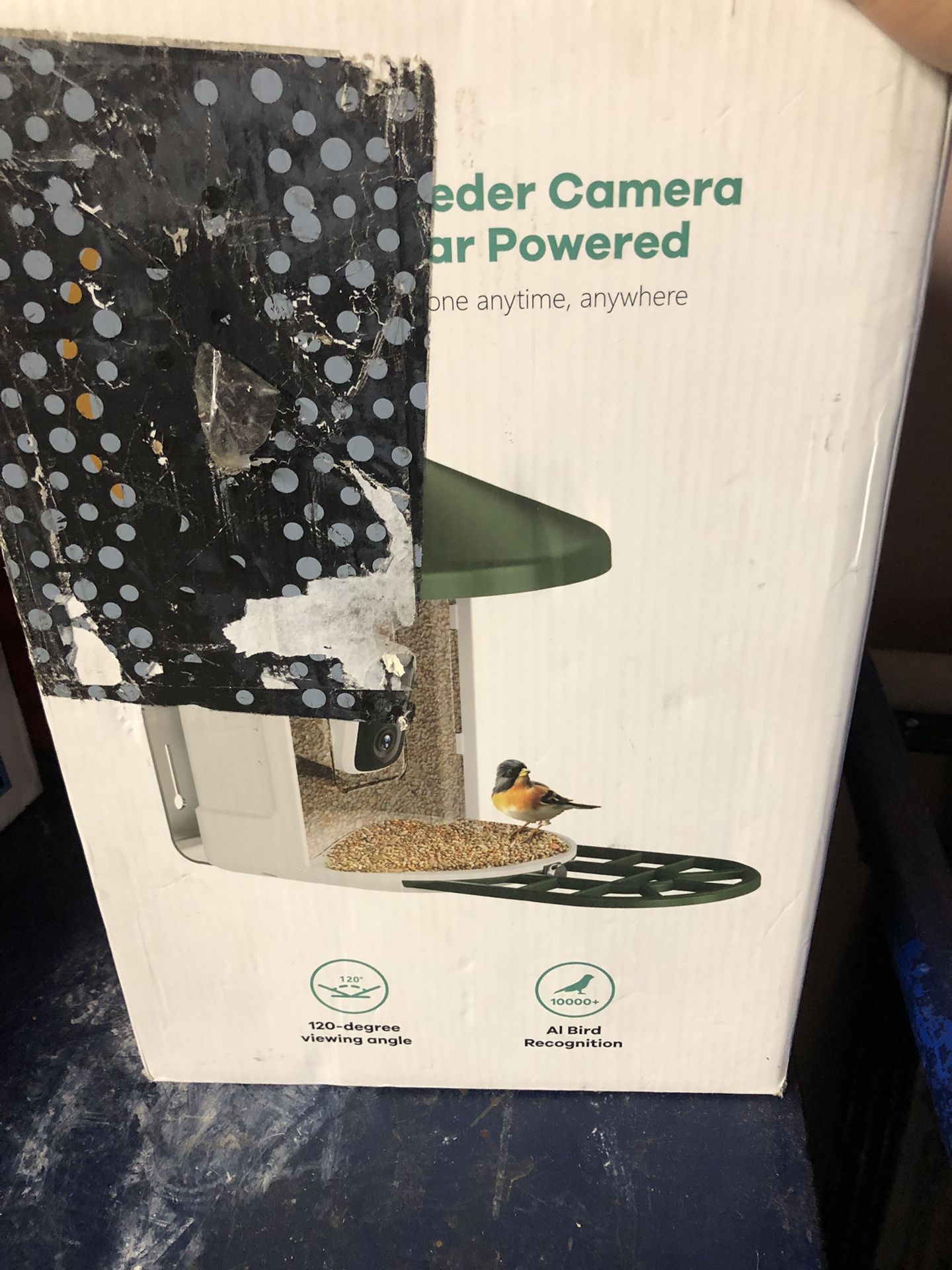 Bird Feeder 