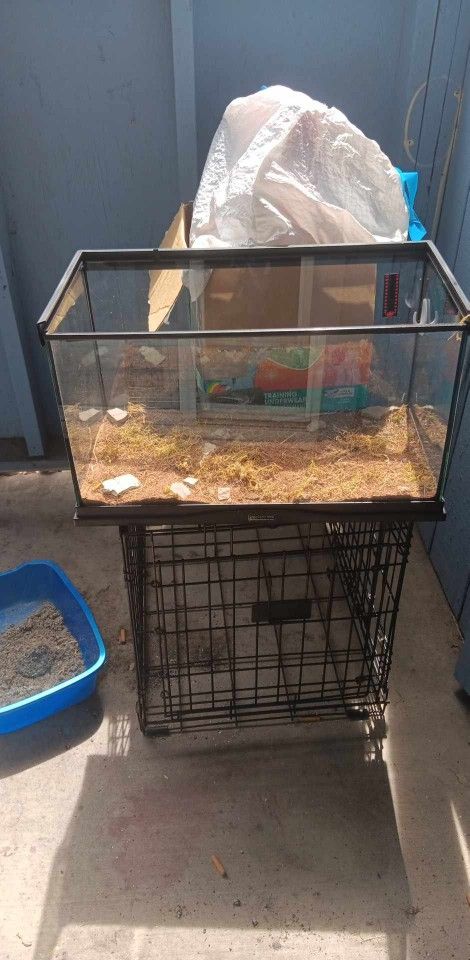 Reptile Tank