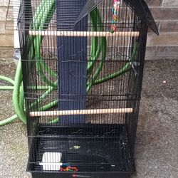 Bird Cage 