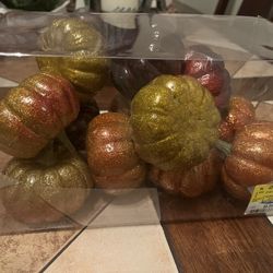 Fall Decorative Pumpkins 
