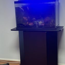 Fish Tank With Stand 