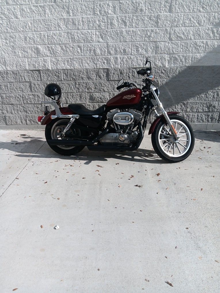 2008 Harley-davidson Sportster 883