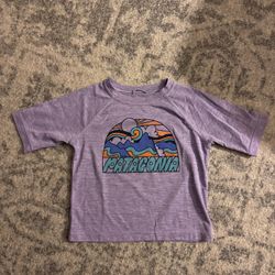 Patagonia capilene cool silk weight tshirt.  