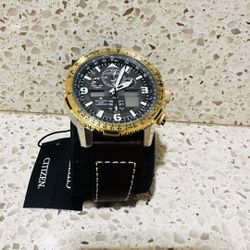 Original Citizen watch