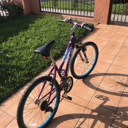 Bike Roadmaster Sport
