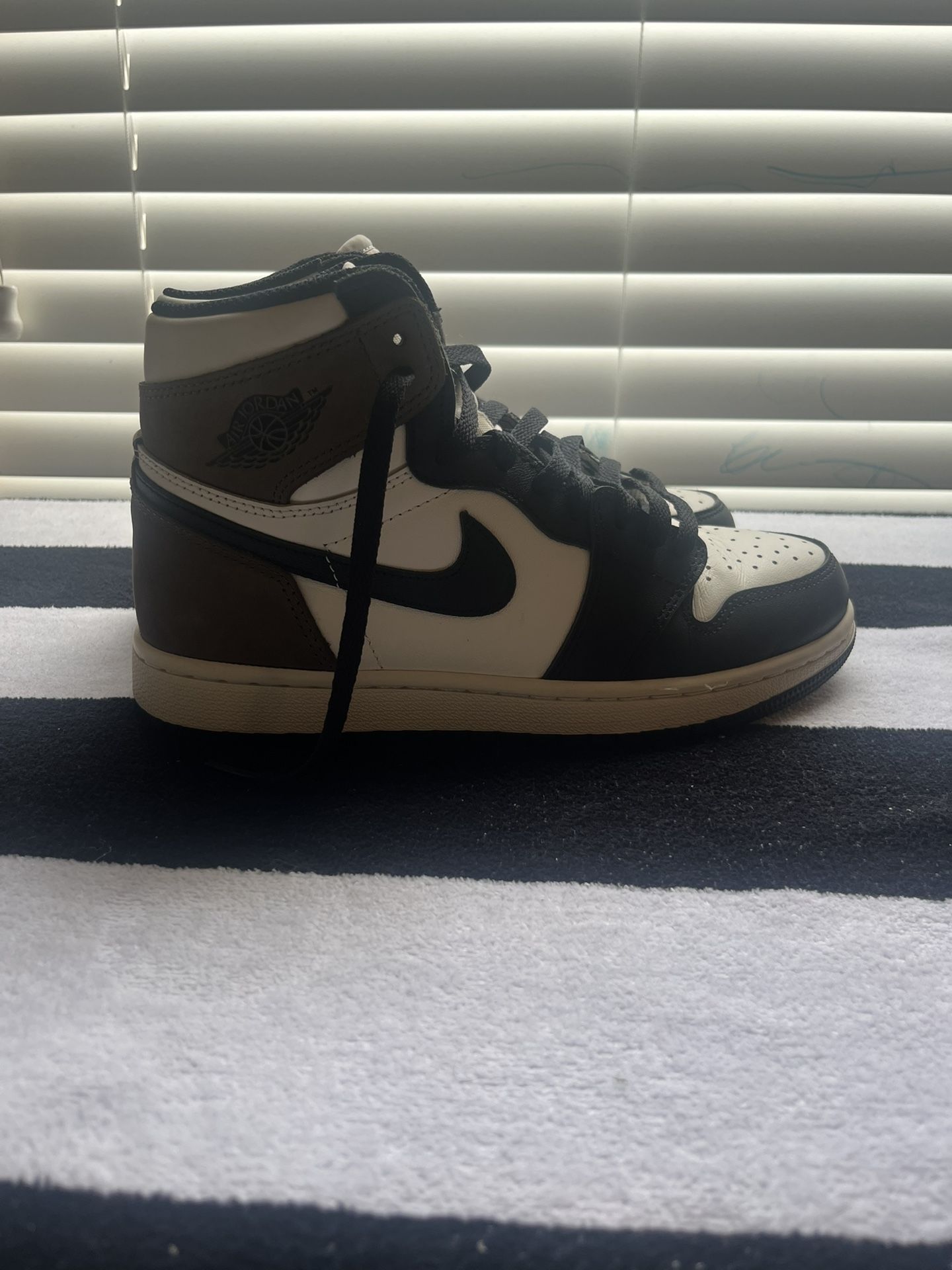 Jordan 1 High Mocha