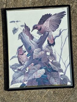 Framed Bird Art Print