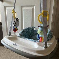 Graco Baby Bumper Jumper