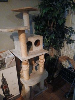 Cat  tree