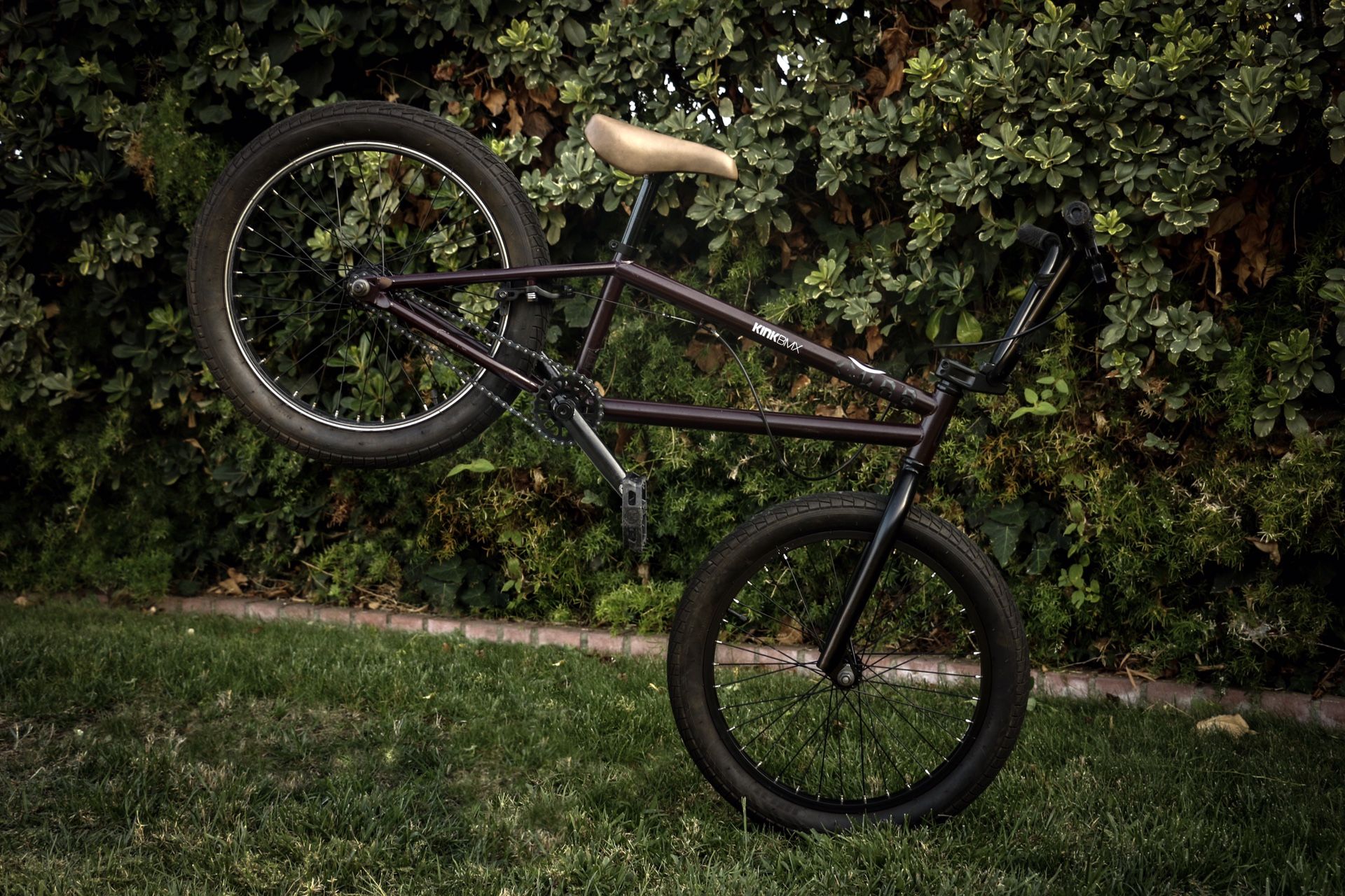 2017 Kink Curb BMX
