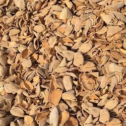 Cascara De Almendra/ Almond Hulls