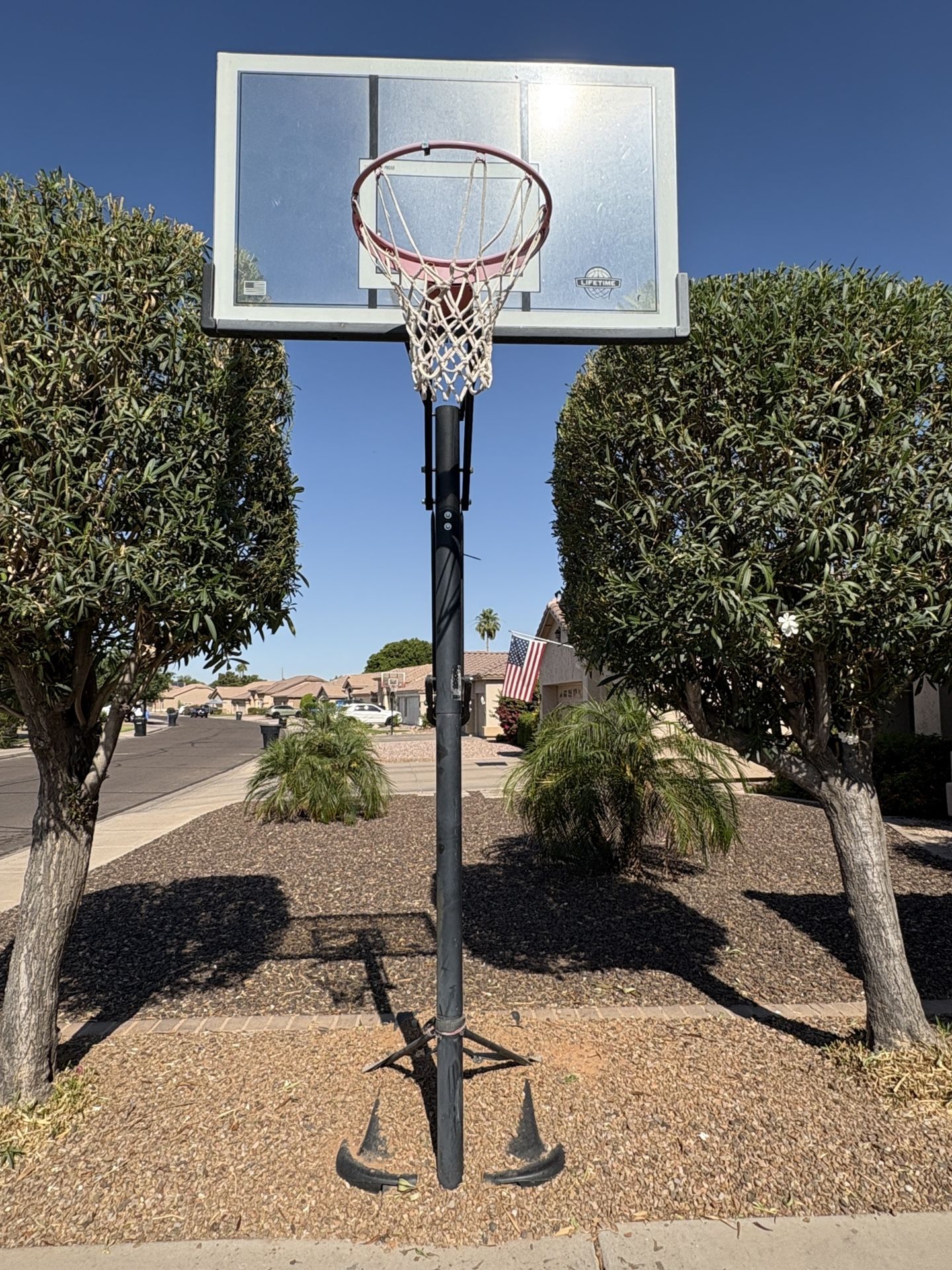 Lifetime Adjustable Basketball Hoop