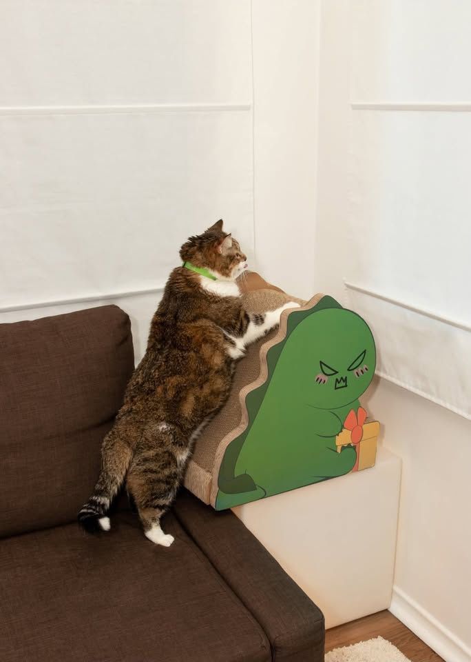 Brand New Dinosaur Cat Scratcher