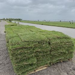 Grass Pallets (Free Delivery)